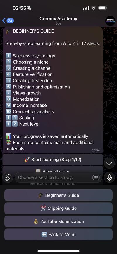 Beginner's Guide 12-step menu in Telegram bot